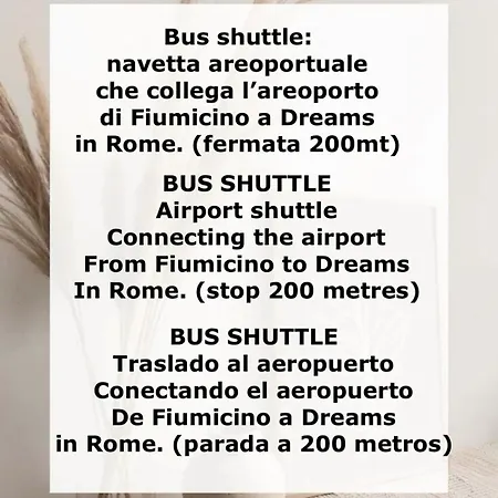 Dreams In St Peter S - Near Vaticano Roma