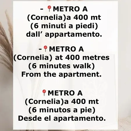 Dreams In St Peter S - Near Vaticano Roma